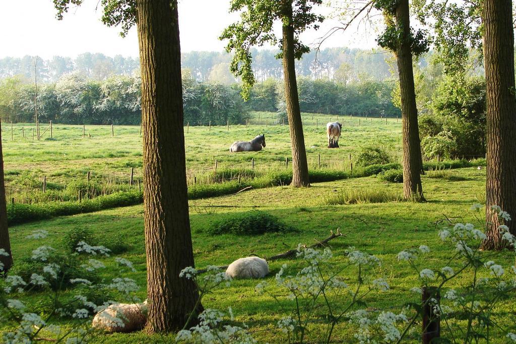 Do'S Chalets Baarland Dış mekan fotoğraf